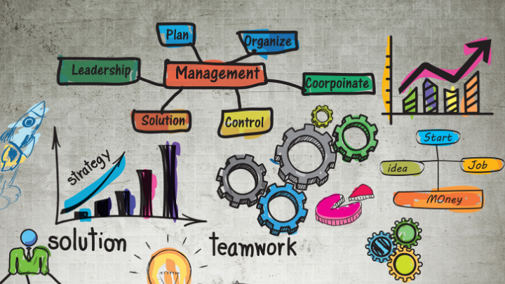 team management